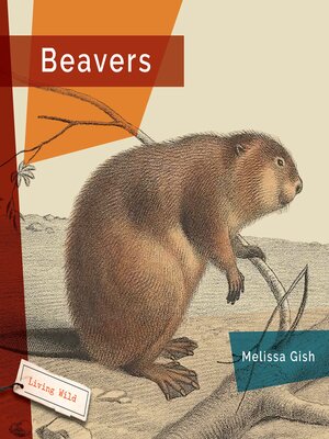 cover image of Beavers